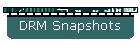 DRM Snapshots